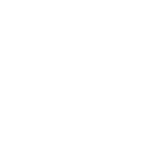 Pictogram van een lamp dat 'Doordacht werken' verbeeldt